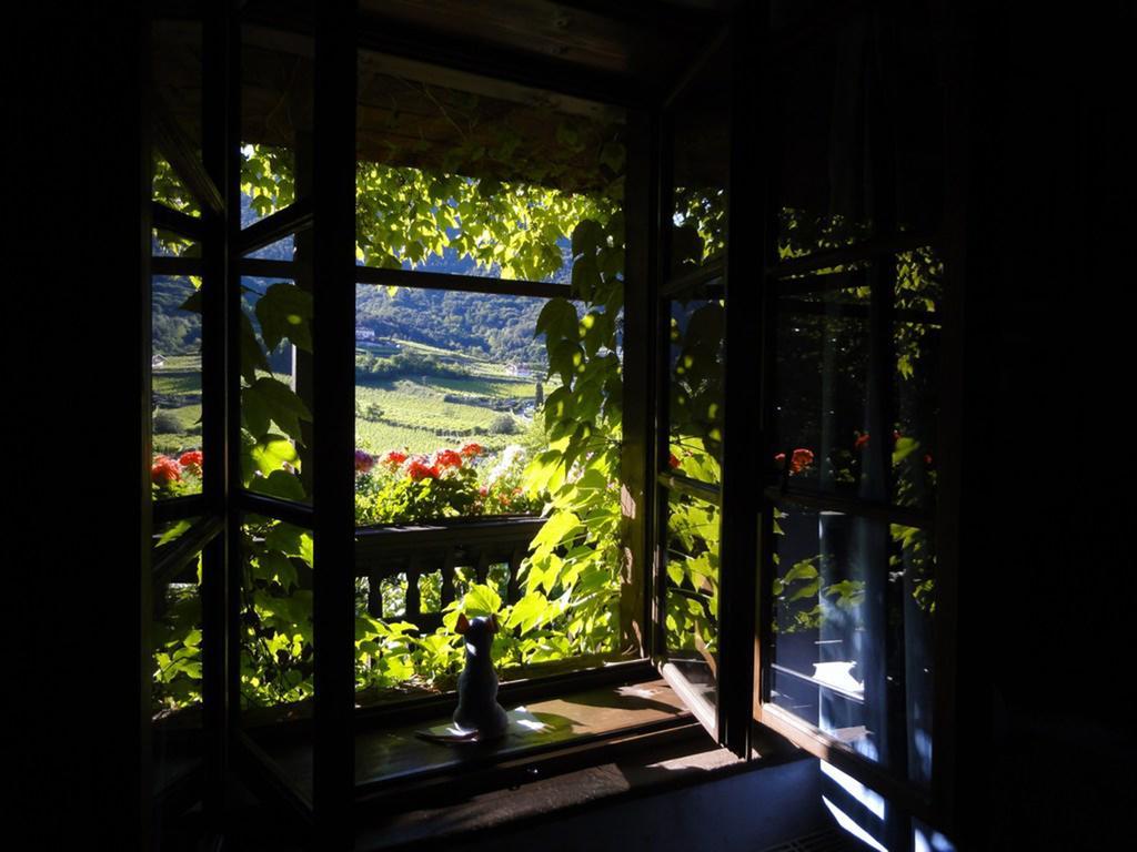 Villa Bertagnolli - Locanda Del Bel Sorriso Тренто Экстерьер фото